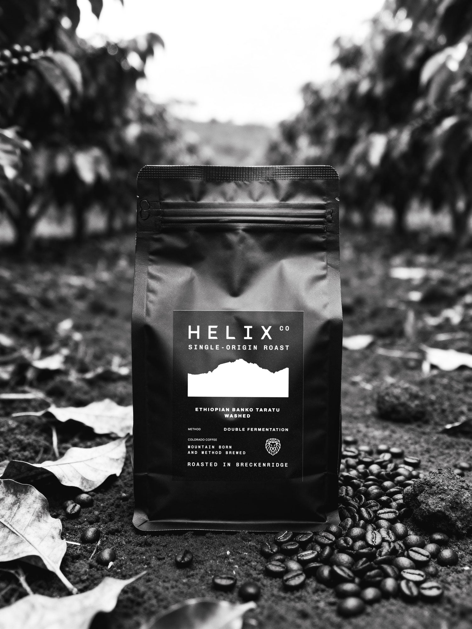 Ethiopian Banko Taratu Single-Origin