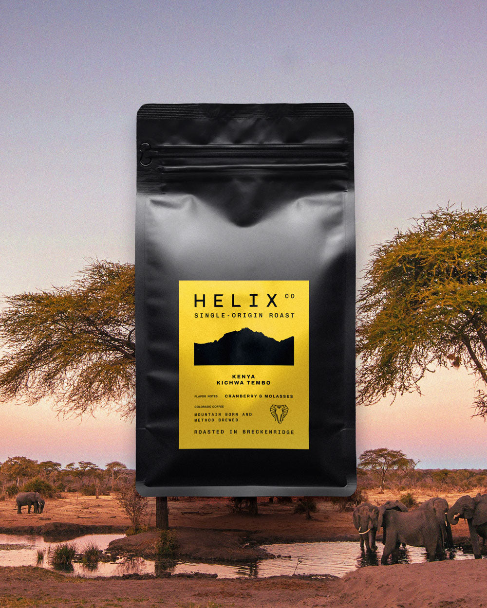 Kenyan Single-Origin – Helix Coffee Co